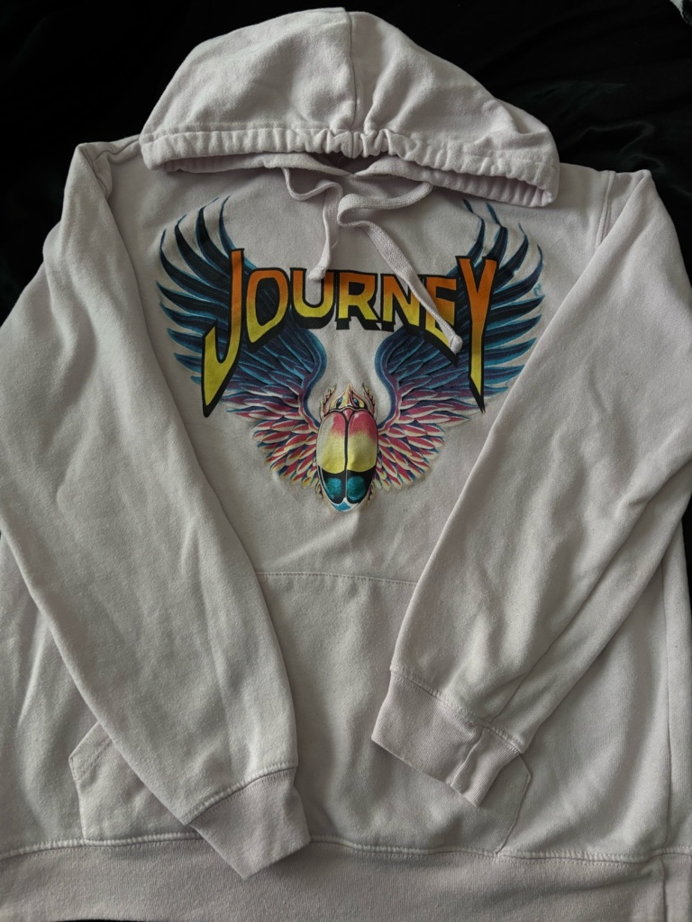Journey Graphic Hoodie with Colorful Winged Scarab